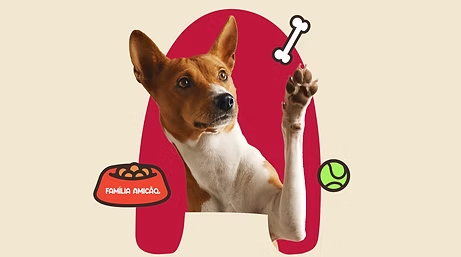Case Família Amicão — Conceito